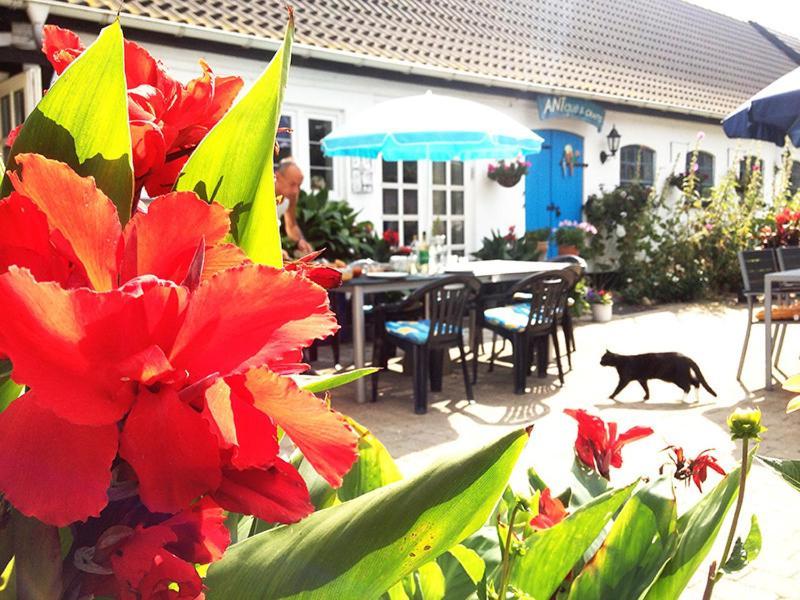 Myrehoj Bed & Breakfast Eskebjerg Exteriér fotografie